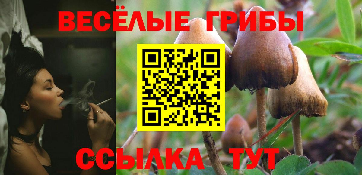 Псилоцибиновые грибы Cubensis  Псилоцибиновые грибы прущие грибы  Чита  Вход с VPN 